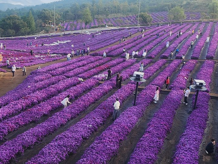 [거창=뉴시스] 거창 감악산 (사진=뉴시스 DB).photo@newsis.com *재판매 및 DB 금지