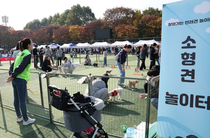 [서울=뉴시스] 반려견놀이터 운영 모습. 2025.10.13. (사진=노원구 제공) *재판매 및 DB 금지