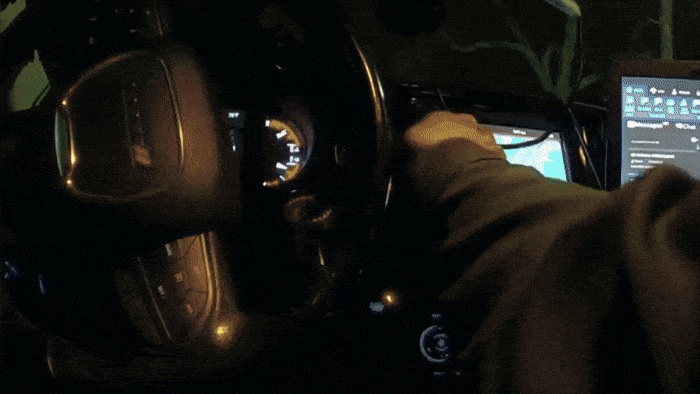 [뉴시스]반려견 ‘이요르’가 실종된 주인을 찾는 모습이 담긴 바디캠 영상. 길 한가운데서 경찰을 발견한 이요르는 여성이 쓰러져 있던 곳으로 경찰을 안내했다(사진=Okaloosa County Sheriff's Office 페이스북)2025.10.9. *재판매 및 DB 금지