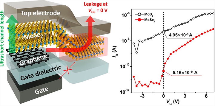 [서울=뉴시스] 게이트 비인가영역에서의 누설 전류를 억제하여 구현한 고성능 수직 트랜지스터. (사진=성균관대 제공) 2025.10.13. photo@newsis.com *재판매 및 DB 금지