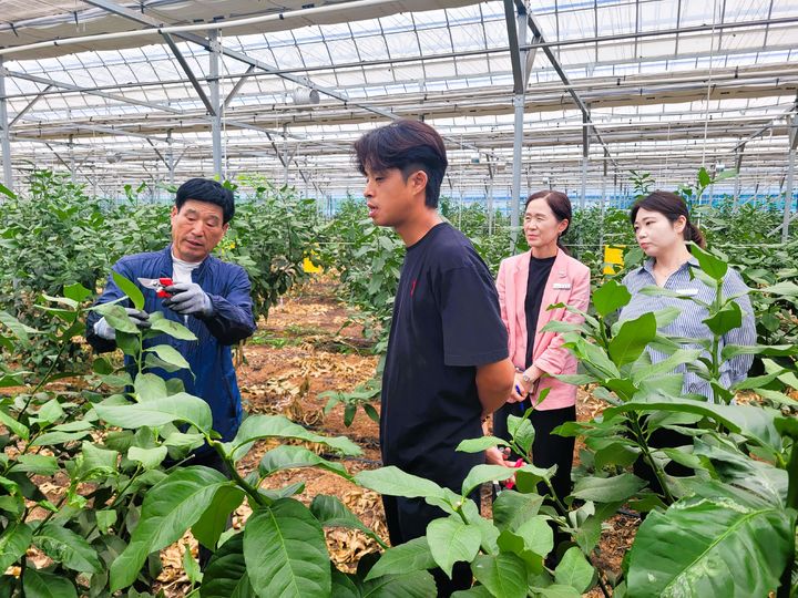 [장성소식]로컬푸드 매장서 '장성쌀' 소비촉진 캠페인 등