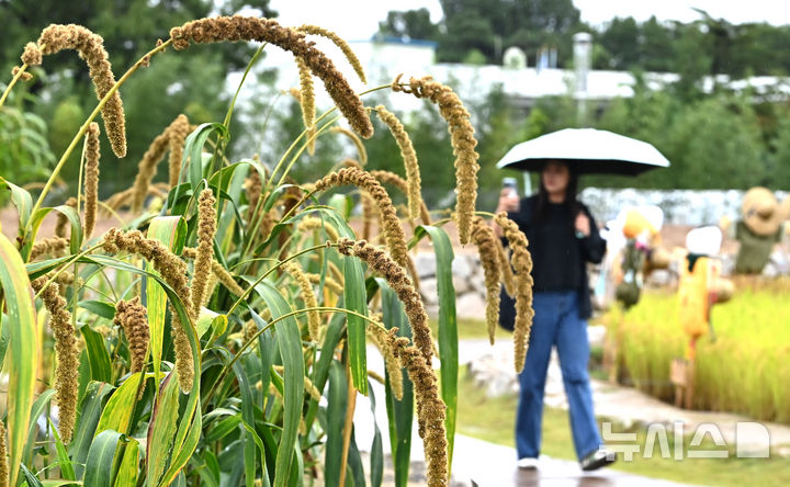 인천, 새벽까지 최대 40㎜ 비…한낮 23도, 완연한 가을