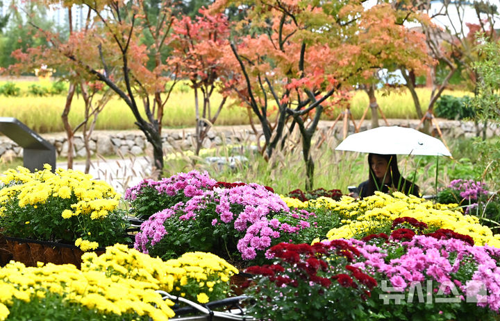 인천, 오전까지 5~30㎜ 비…낮 기온 예년과 비슷