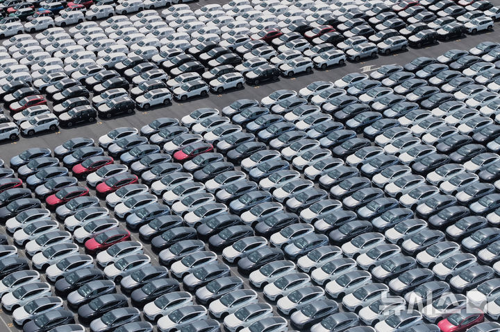 [AP/뉴시스] 중국 상하이 항구에서 수출 자동차들이 선적을 기다리고 있다