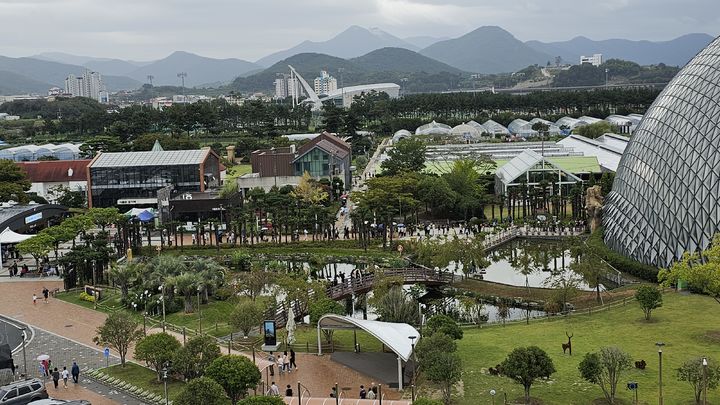 [거제=뉴시스] 신정철 기자= 거제시는 거제 대표 관광지인 거제식물원이 2025년 추석연휴(10월 3일~9일, 6일간) 동안 총 3만3360명의 방문객이 다녀가며 개원 이래 명절 연휴 중 최대 관람객 수를 기록했다고 13일 밝혔다.사진은 추석연휴 기간 동안의 거제식물원 전경,(사진=거제시 제공).2025.10.13. photo@newsis.com *재판매 및 DB 금지