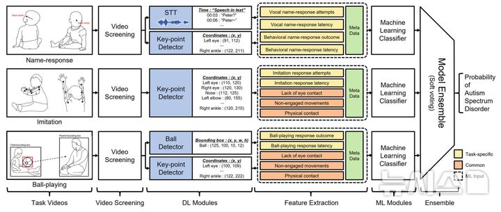 [서울=뉴시스] AI 기반 자폐스펙트럼장애 조기 선별 과정: 이름 반응, 모방, 공놀이 영상을 분석해 음성·자세·공 움직임을 행동 지표로 변환하고, 이를 종합해 자폐 가능성을 예측한다. (사진= 서울대병원 제공)