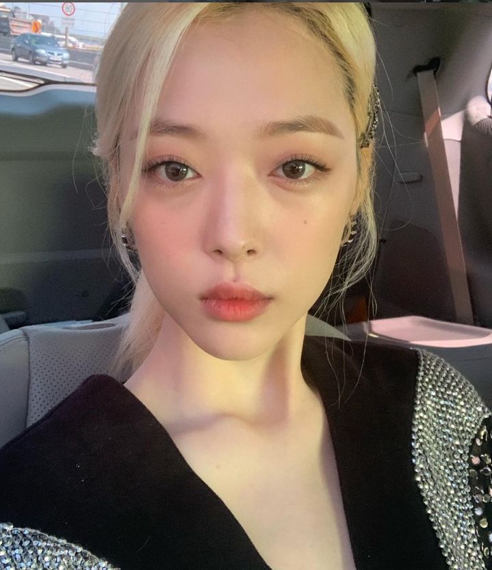 [서울=뉴시스] 고(故) 설리. (사진=설리 인스타그램 캡처) 2025.10.14. photo@newsis.com  *재판매 및 DB 금지