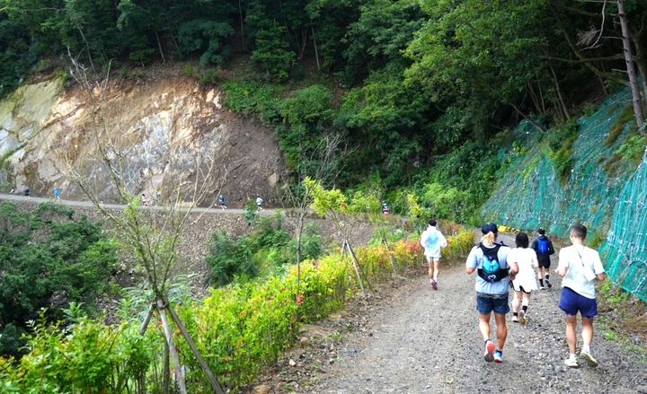 계명산 임도 *재판매 및 DB 금지