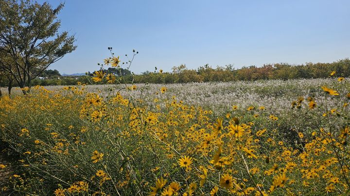 [부안=뉴시스] 부안 줄포만 노을빛 전경. (사진=부안군 제공) 2025.10.14. photo@newsis.com *재판매 및 DB 금지