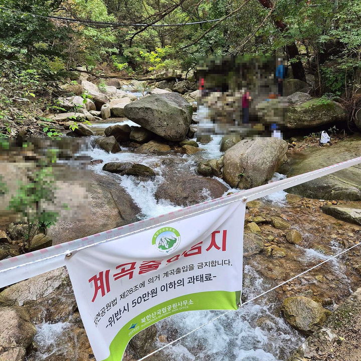 [서울=뉴시스] (사진=온라인 커뮤니티 '보배드림' 캡처) *재판매 및 DB 금지