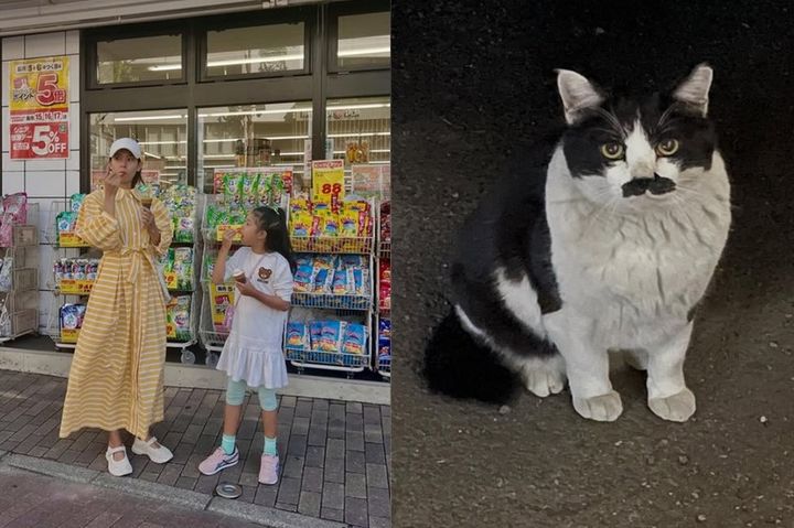 [서울=뉴시스] 배우 조윤희가 반려묘 입양 소식을 전했다. (사진=조윤희 인스타그램 캡처) 2025.10.14. photo@newsis.com *재판매 및 DB 금지