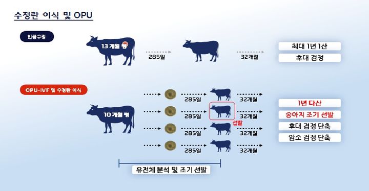 수정란 이식 및 OPU 그래픽 *재판매 및 DB 금지