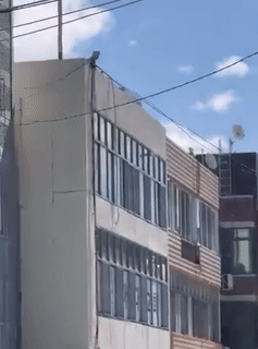 [서울=뉴시스] (사진=온라인 커뮤니티 '보배드림' 캡처) *재판매 및 DB 금지