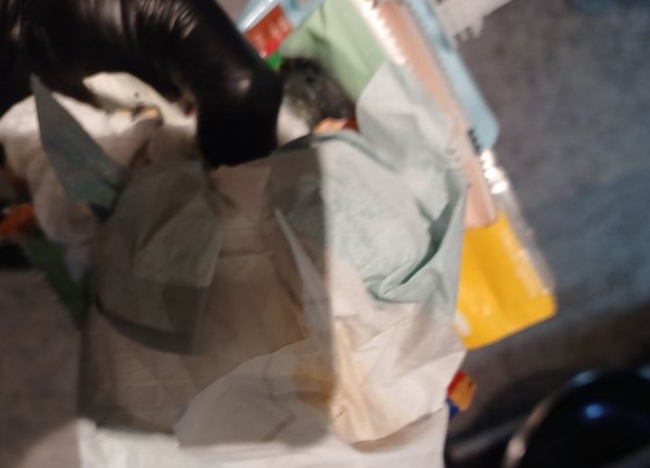 [뉴시스] 고깃집을 운영하는 자영업자가 똥기저귀를 두고 간 손님 때문에 힘들다는 사연을 올렸다. (사진='아프니까 사장이다' 갈무리) *재판매 및 DB 금지