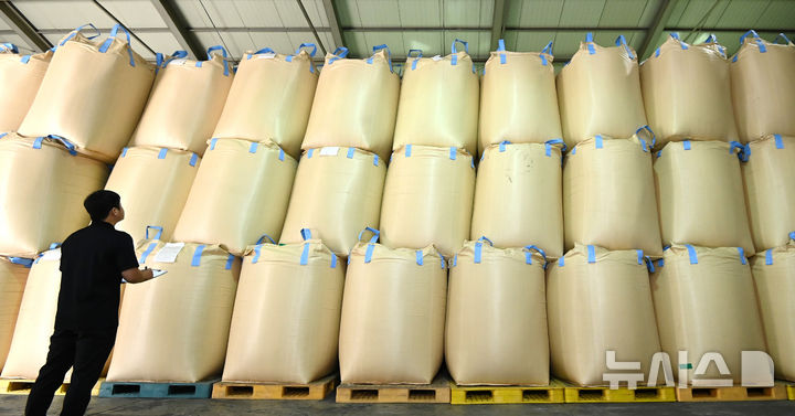 [용인=뉴시스] 김종택 기자 = 14일 경기 용인시 한 미곡종합처리장(RPC)저온창고에서 관계자가 올해 수매한 벼를 살펴보고 있다. 2025.10.14. jtk@newsis.com