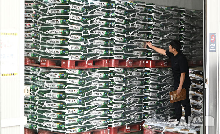 [용인=뉴시스] 김종택 기자 = 경기 용인시 한 미곡종합처리장(RPC)에서 관계자가 올해 도정한 쌀을 살펴보고 있다. 2025.10.14. jtk@newsis.com