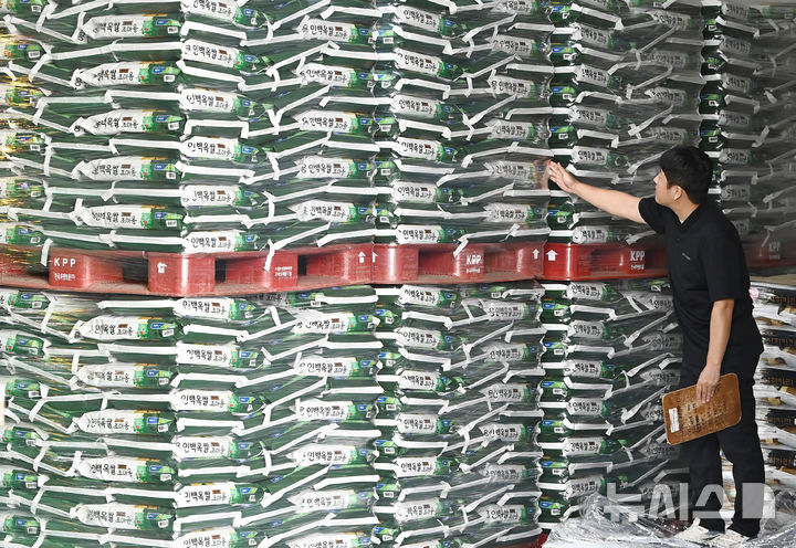 [용인=뉴시스] 김종택 기자 = 14일 경기 용인시 한 미곡종합처리장(RPC)에서 관계자가 올해 도정한 쌀을 살펴보고 있다. 2025.10.14. jtk@newsis.com