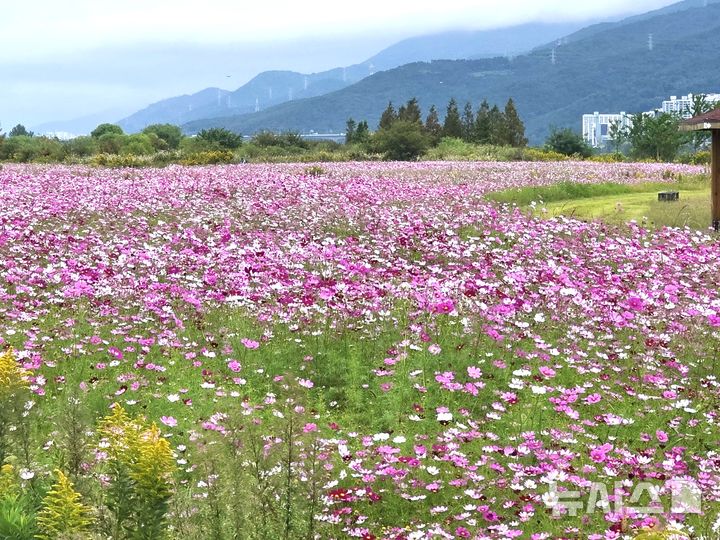 김해 대동생태체육공원 위탁운영자 모집 서류 위조…경찰고발