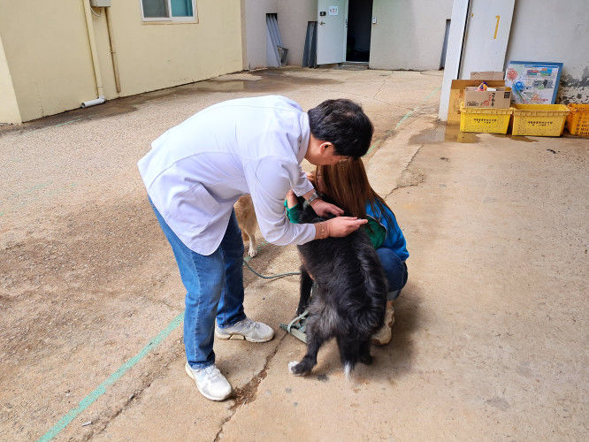 [안산=뉴시스]수의사가 반려동물에게 광견병 예방접종을 하고 있다.(사진=안산시 제공)2025.10.15.photo@newsis.com *재판매 및 DB 금지