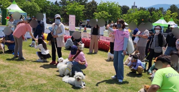 [창원=뉴시스]창원시 공식블로그의 2024년 제4회 창원반려동식물축제 중 '멍랑운동회'. (자료=경남도 제공) *재판매 및 DB 금지