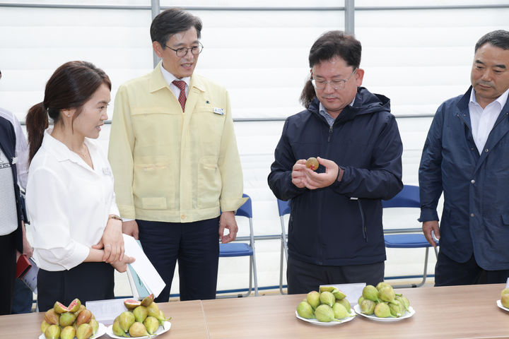 [세종=뉴시스]이승돈 농촌진흥청장이 15일 전남 영암에 있는 무화과 스마트팜 청년 창업 농가를 방문해 운영 현황을 살피고 안정 지원책 등에 대해 의견을 나누고 있다. (사진=농진청 제공) *재판매 및 DB 금지