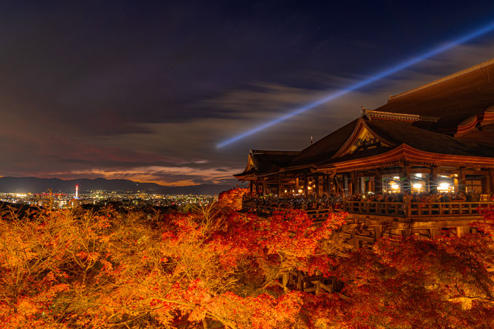 [뉴시스] 가을의 일본. (사진=유토이미지) *재판매 및 DB 금지