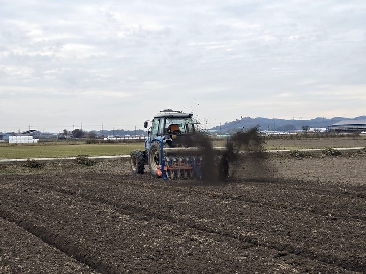 군산지역 보리·밀 파종 적기는?…"10월 하순~11월 상순"