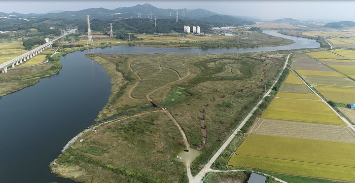 [아산=뉴시스] 충남 아산시가 국가생태탐방로 신규 지정에 최종 선정됐다. 곡교천 물억새 모습. (사진=아산시 제공) 2025.10.16 photo@newsis.com *재판매 및 DB 금지