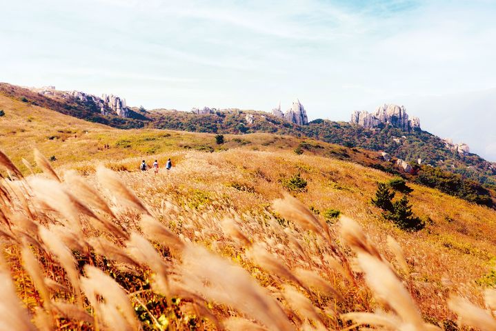 [장흥=뉴시스] 장흥 천관산. (자료사진 = 전남도 제공). 2025.10.16. photo@newsis.com *재판매 및 DB 금지