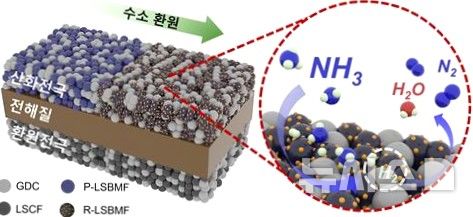 [포항=뉴시스] 송종욱 기자 = 포스텍 화학공학과·배터리공학과 김원배 교수와 화학공학과 통합 과정 하중섭씨 연구팀이 수소 저장·운송 없이 암모니아를 사용해 연료 전지 성능을 25% 향상하는 기술을 개발했다. 사진은 암모니아 연료 고체 산화물 연료 전지 구조 및 반응 메커니즘 모식도. (사진=포스텍 제공) 2025.10.16. photo@newsis.com