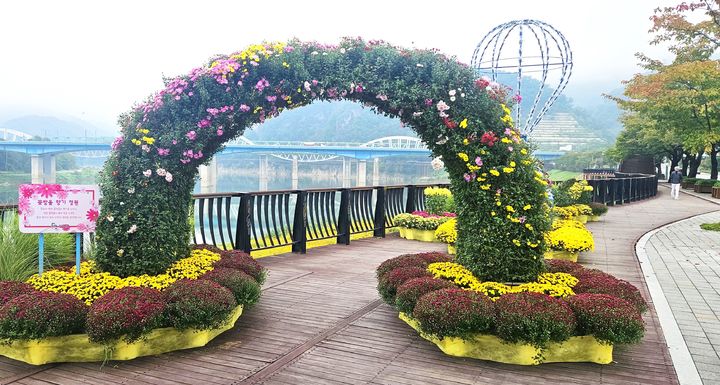 [뉴시스 앵글]가을 국화로 물든 단양 거리