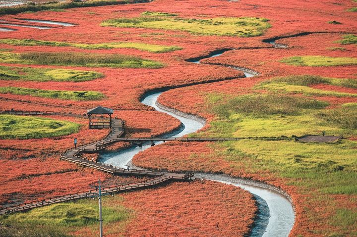 [신안=뉴시스] 증도 태평염전 산책로. (사진=신안군 제공) 2025.10.16. photo@newsis.com *재판매 및 DB 금지