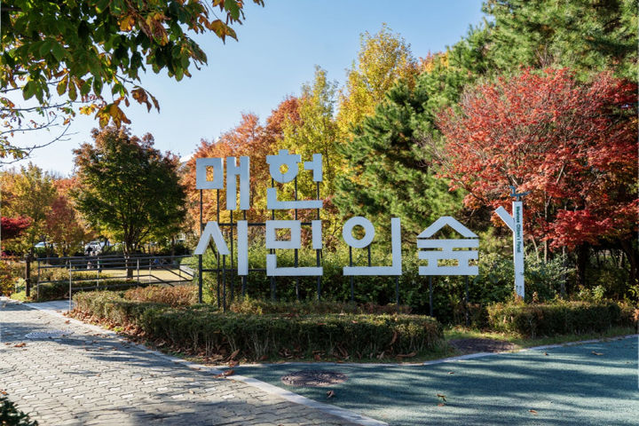 [서울=뉴시스] 매헌시민의숲 가을(공원사진사 김광옥-서울의공원). 2025.10.17. (사진=서울시 제공) *재판매 및 DB 금지