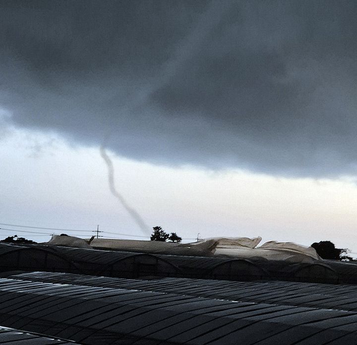 [서귀포=뉴시스] 지난 15일 오후 제주 서귀포시 남원읍 태흥리 인근 마을에 나타난 용오름 현상. 이 용오름은 바다에서 발생해 뭍으로 거슬러 올라온 것으로 전해졌다. (사진=독자 제공) photo@newsis.com *재판매 및 DB 금지