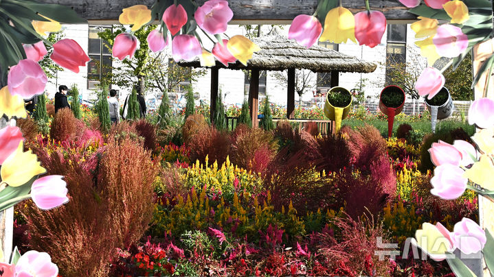 [평택=뉴시스] 김종택 기자 = 제13회 경기정원문화박람회가 열린 16일 경기 평택시 농업생태원에서 관람객들이 울긋불긋 가을꽃들로 조성된 정원을 산책하고 있다. 2025.10.16. jtk@newsis.com