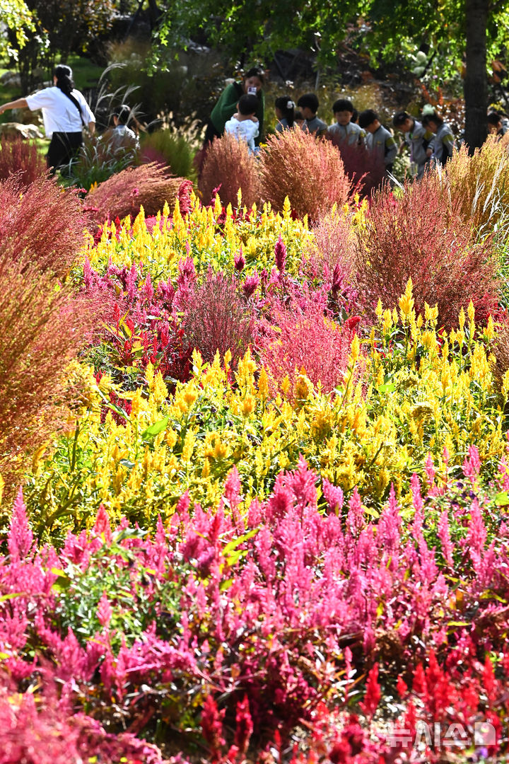 [평택=뉴시스] 김종택 기자 = 제13회 경기정원문화박람회가 열린 16일 경기 평택시 농업생태원에서 관람객들이 울긋불긋 가을꽃들로 조성된 정원을 산책하고 있다. 2025.10.16. jtk@newsis.com