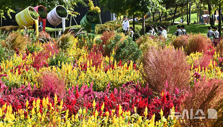 [평택=뉴시스] 김종택 기자 = 제13회 경기정원문화박람회가 열린 16일 경기 평택시 농업생태원에서 관람객들이 울긋불긋 가을꽃들로 조성된 정원을 산책하고 있다. 2025.10.16. jtk@newsis.com