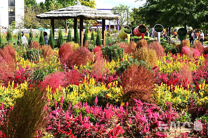 대체로 맑은 울산, 최저 8도·최고 19도…"일교차 주의"