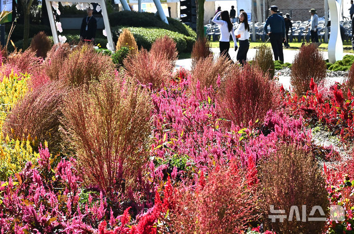 [평택=뉴시스] 김종택 기자 = 제13회 경기정원문화박람회가 열린 16일 경기 평택시 농업생태원에서 관람객들이 울긋불긋 가을꽃들로 조성된 정원을 산책하고 있다. 2025.10.16. jtk@newsis.com