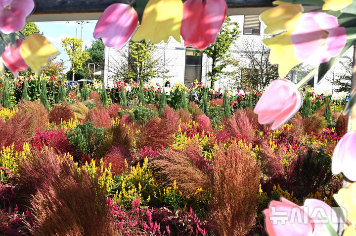 [평택=뉴시스] 김종택 기자 = 제13회 경기정원문화박람회가 열린 16일 경기 평택시 농업생태원에서 관람객들이 울긋불긋 가을꽃들로 조성된 정원을 산책하고 있다. 2025.10.16. jtk@newsis.com