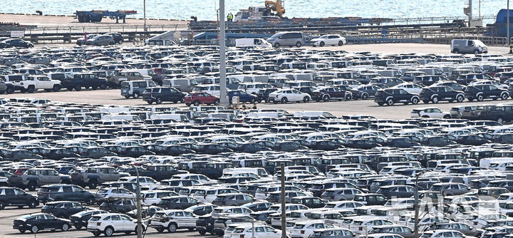 [평택=뉴시스] 김종택 기자 = 16일 경기 평택항에 수출용 자동차가 세워져 있는 모습. 2025.10.16. jtk@newsis.com