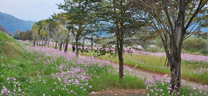 [곡성=뉴시스] 전남 곡성군 석곡면 대황강 자연휴식공원. (사진=곡성군 제공) 2025.10.16. photo@newsis.com *재판매 및 DB 금지