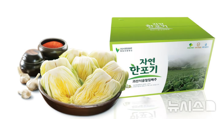 [괴산=뉴시스] 괴산시골절임배추 (사진= 괴산군 제공) 2025.10.17. photo@newsis.com *재판매 및 DB 금지