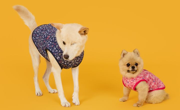 BYC 개리야스 에어메리 기모김장조끼.(사진=BYC 제공) *재판매 및 DB 금지