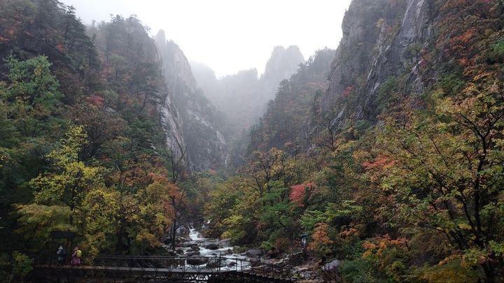 [속초=뉴시스] 지난 16일 설악산 양폭대피소 단풍 모습. 양폭대피소는 설악산 해발 715m에 있다.(사진=기상청 제공)photo@newsis.com *재판매 및 DB 금지