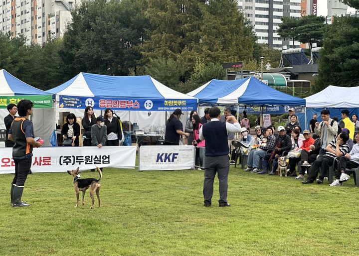 익산 반려동물 문화축제…"사람·동물 공존의 소통"