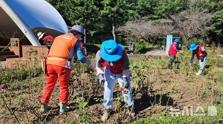 [시흥=뉴시스] 경기도 시민정원사 안산지회 회원들이 시흥시 옥구공원에서 정원관리 봉사활동을 하고 있다. (사진=시흥시 제공). 2025.10.19. photo@newsis.com