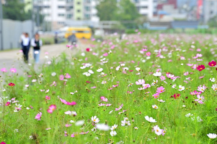 전북 낮 18~22도 오후부터 구름…찬 바람에 체감온도↓