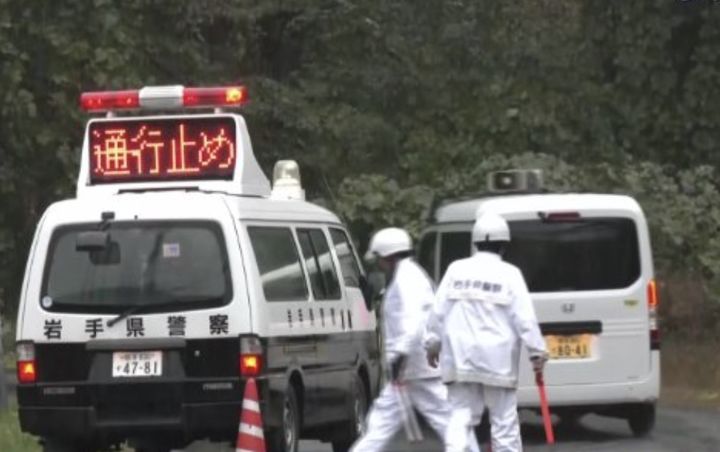 [서울=뉴시스] 일본 이와테현 니시와가초 세미 온천에서 근무하던 프로레슬링 심판이 곰에게 습격 당해 숨지는 사고가 발생했다. (사진 = 아사히TV 캡처) 2025.10.19. *재판매 및 DB 금지