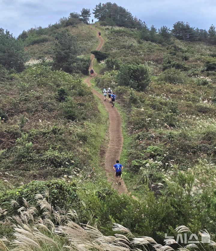 [제주=뉴시스] 임재영 기자 = 트랜스제주 국제트레일러닝대회 150㎞ 참가자들이 18일 오후 억새로 유명한 서귀포시 표선면 가시리지역 따라비오름을 오르고 있다. 2025.10.20. ijy788@newsis.com